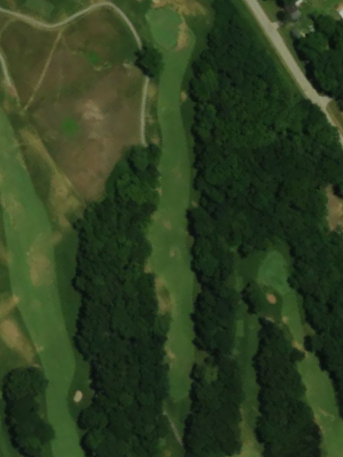 Hole 15 satellite