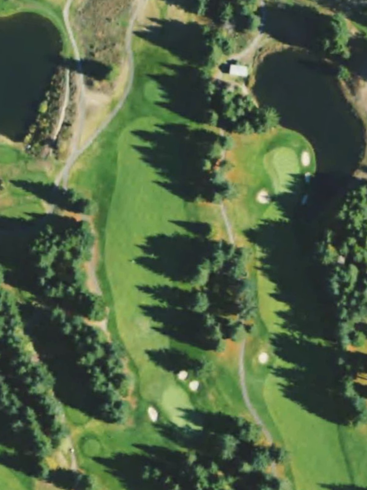 Hole 10 satellite
