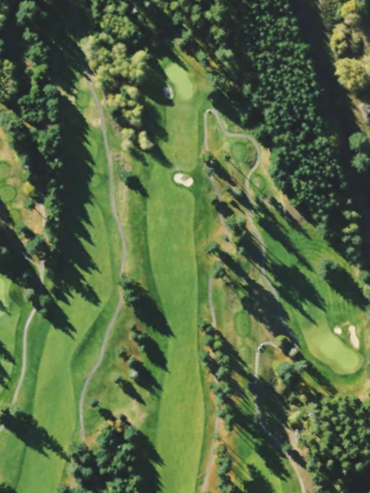 Hole 11 satellite