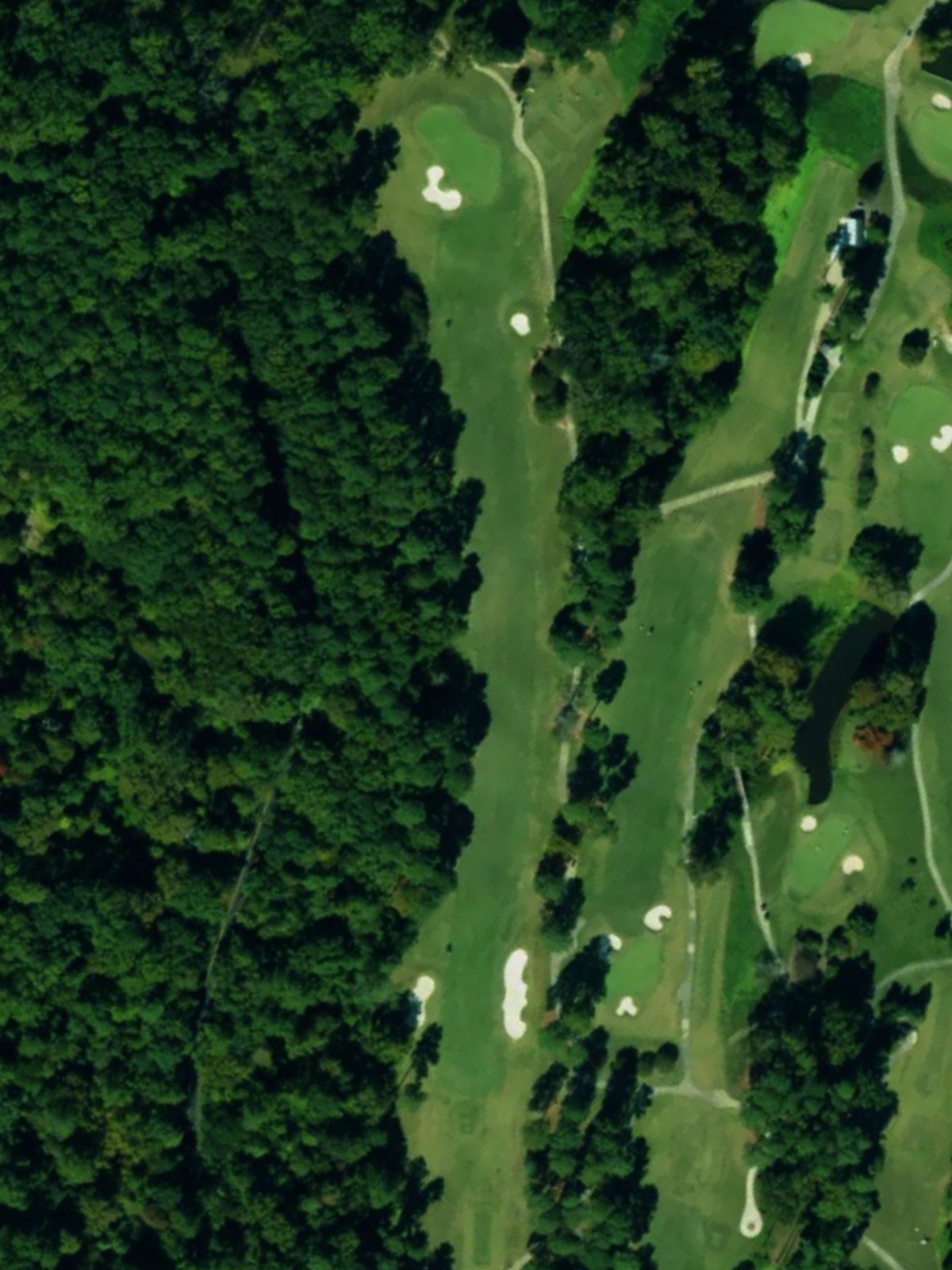 Hole 15 satellite