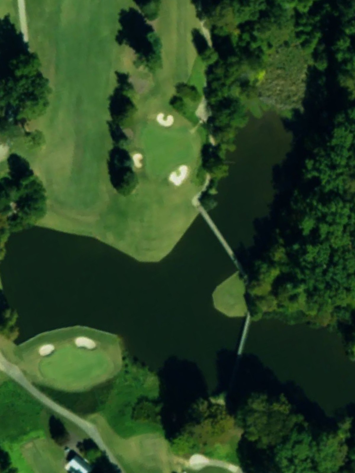 Hole 7 satellite