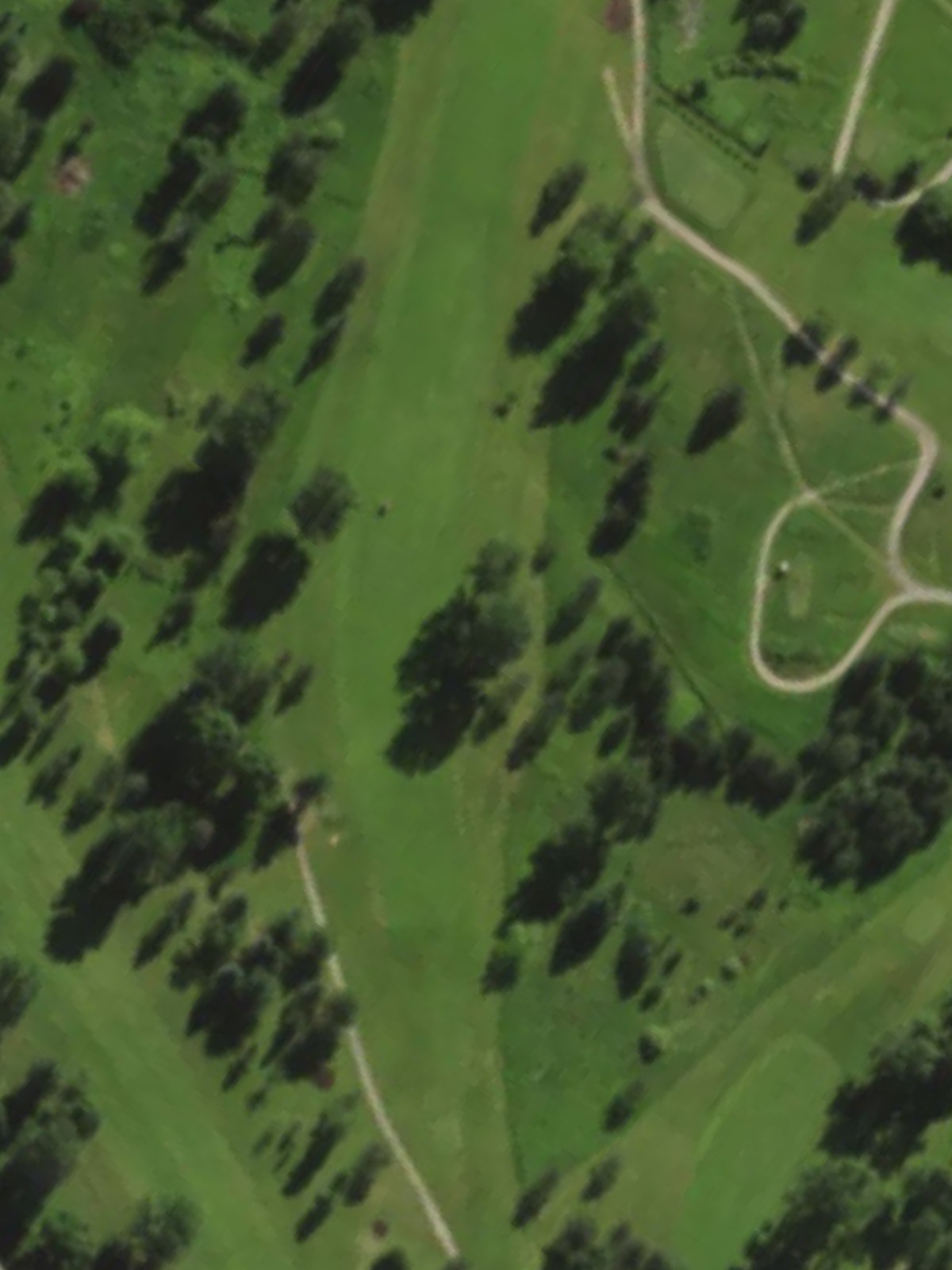 Hole 7 satellite