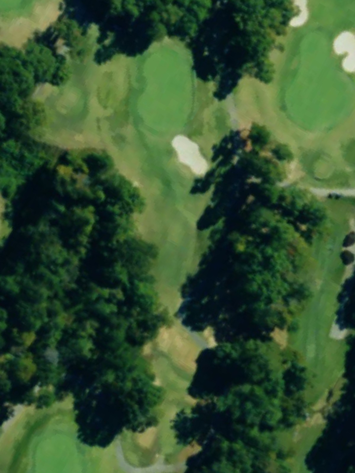 Hole 12 satellite