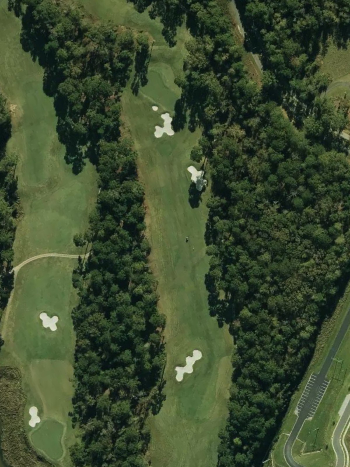 Hole 15 satellite