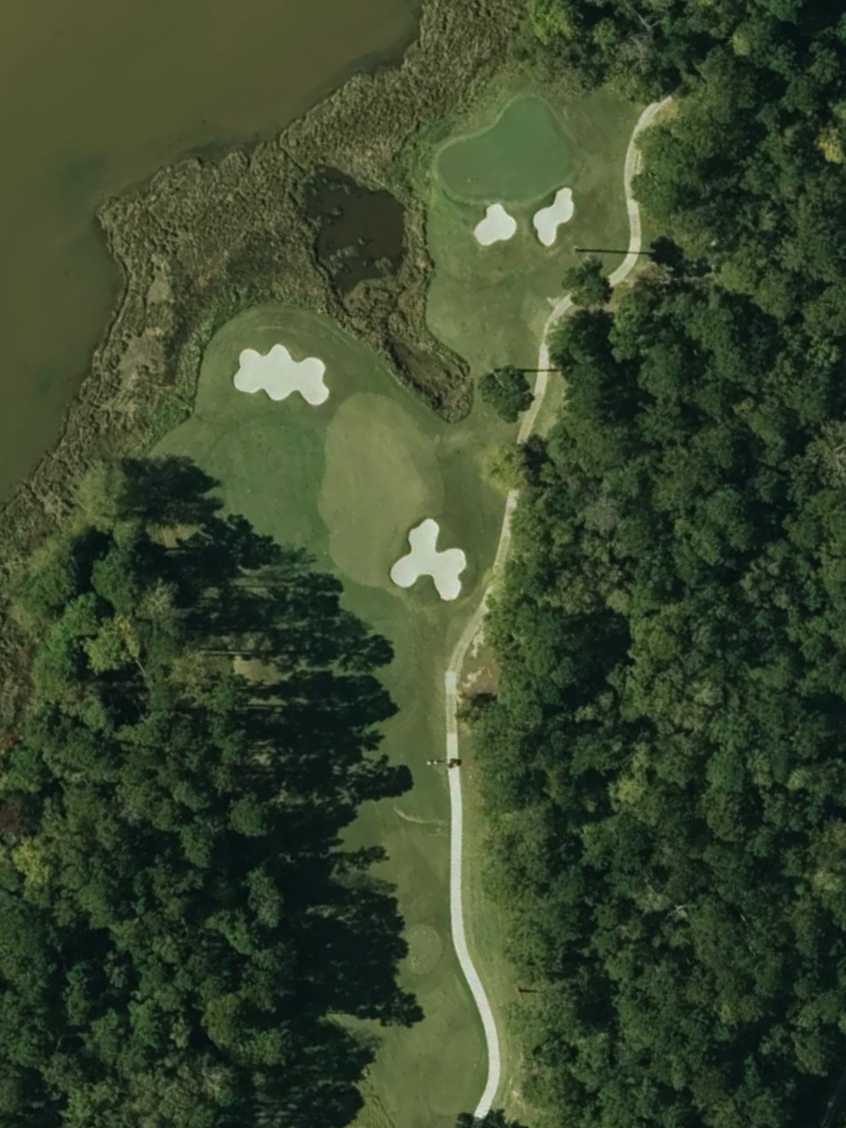 Hole 8 satellite