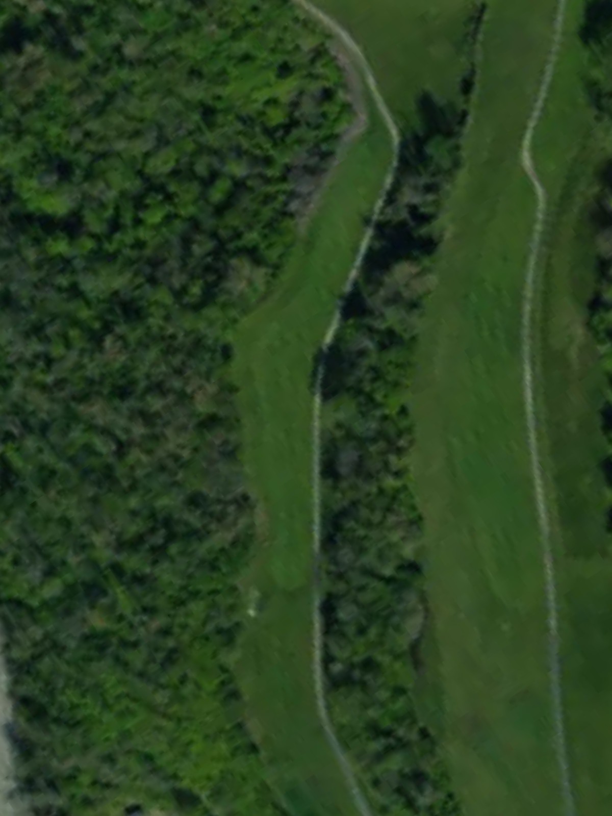Hole 4 satellite