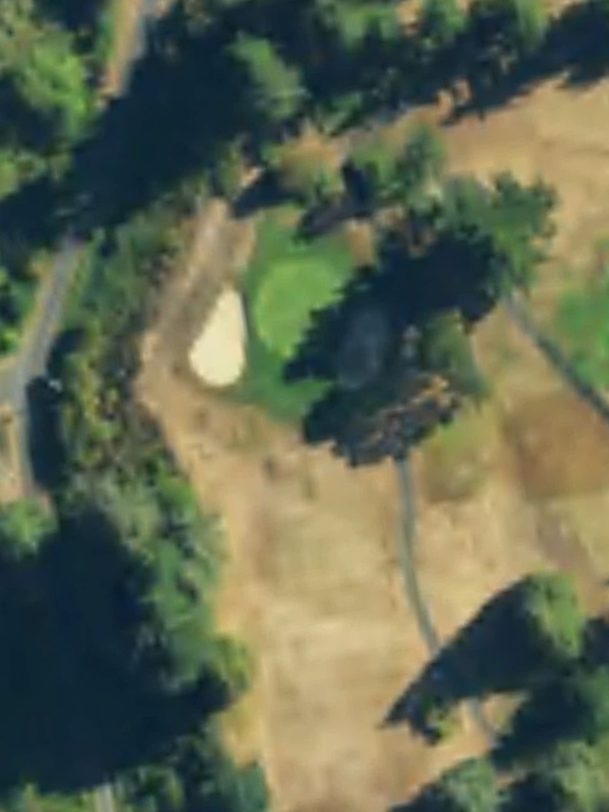 Hole 7 satellite