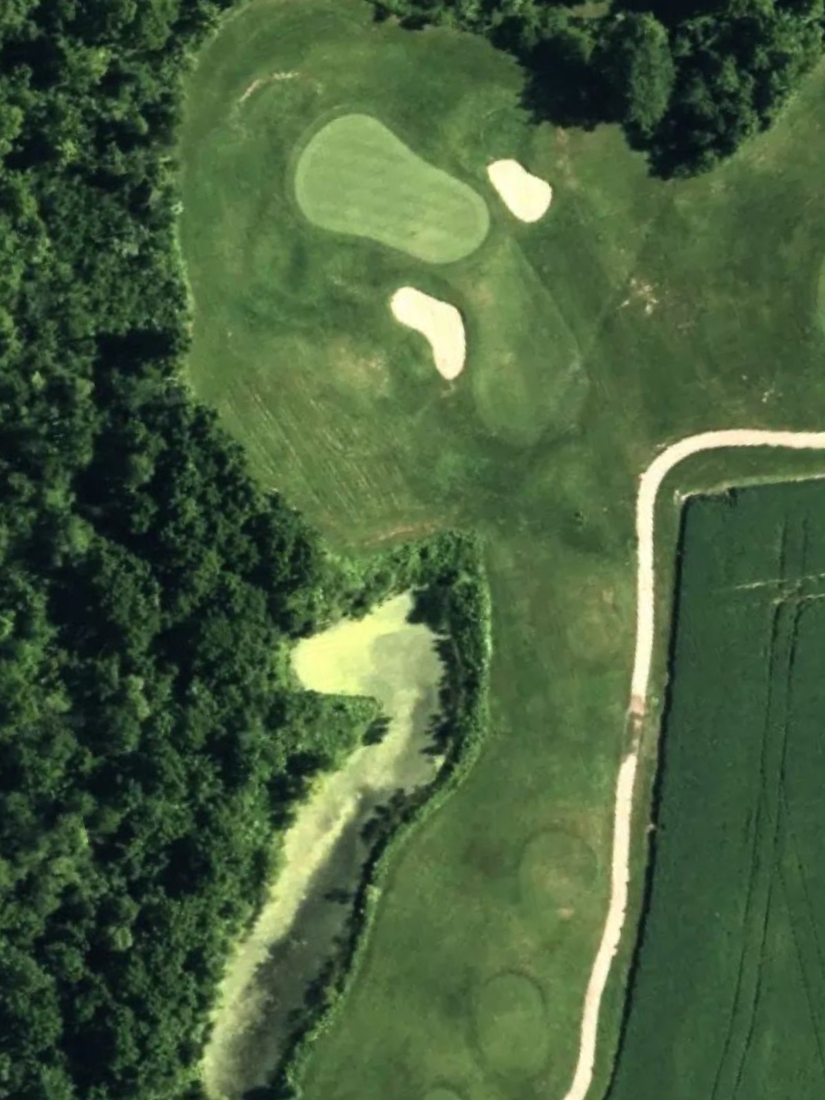 Hole 7 satellite