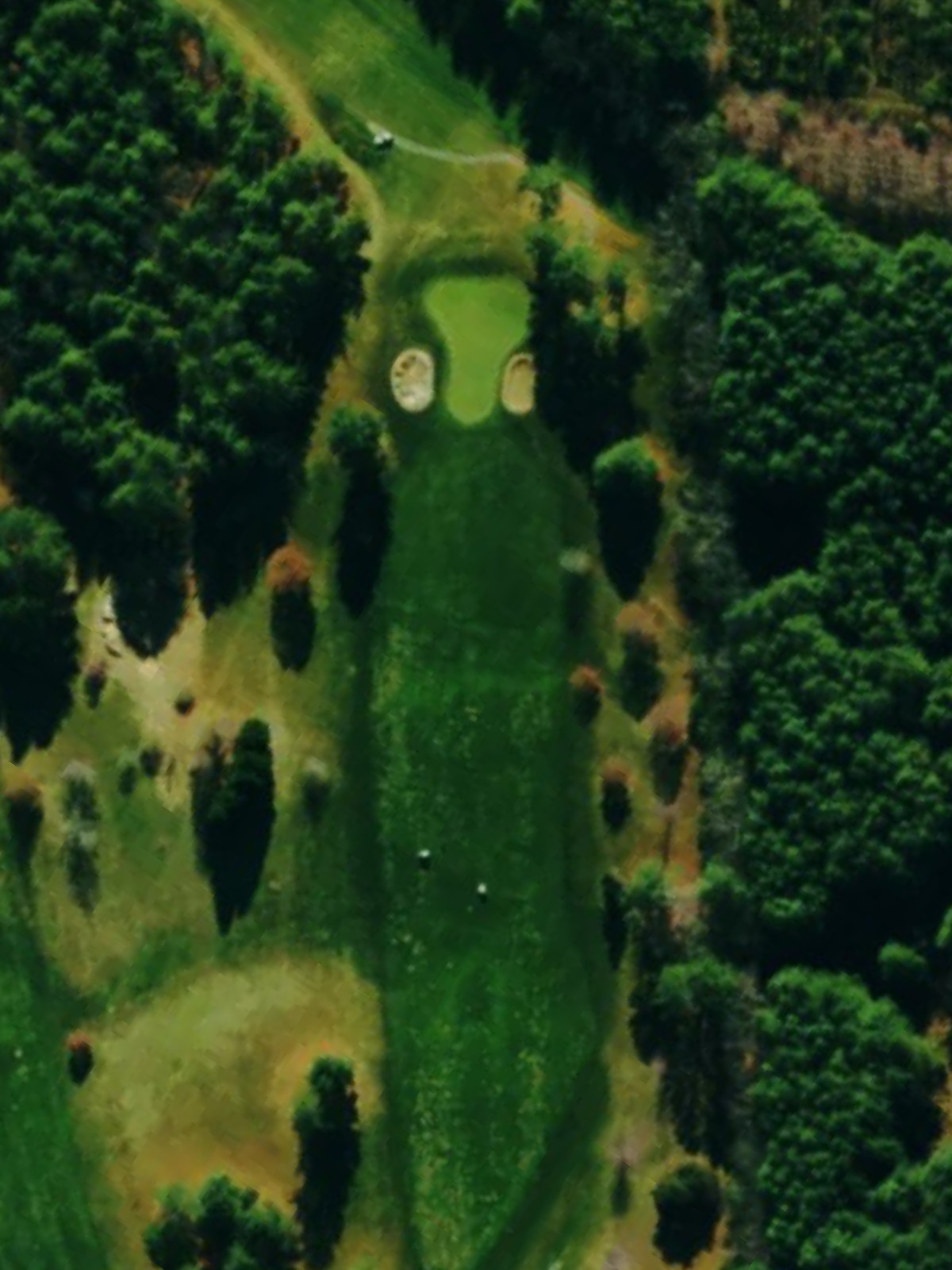 Hole 1 satellite