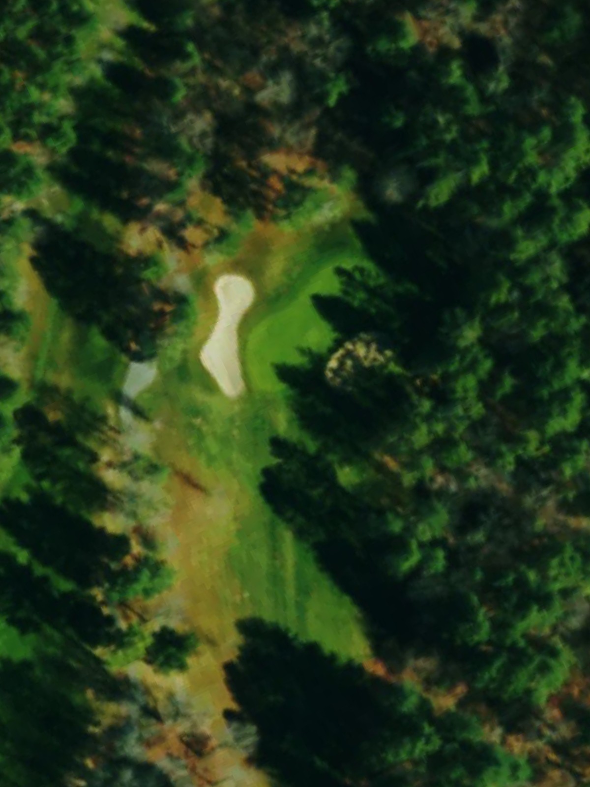 Hole 12 satellite