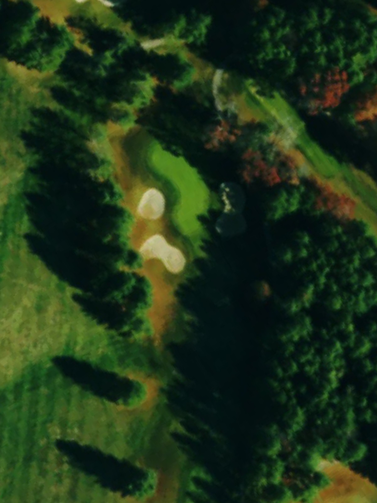 Hole 15 satellite