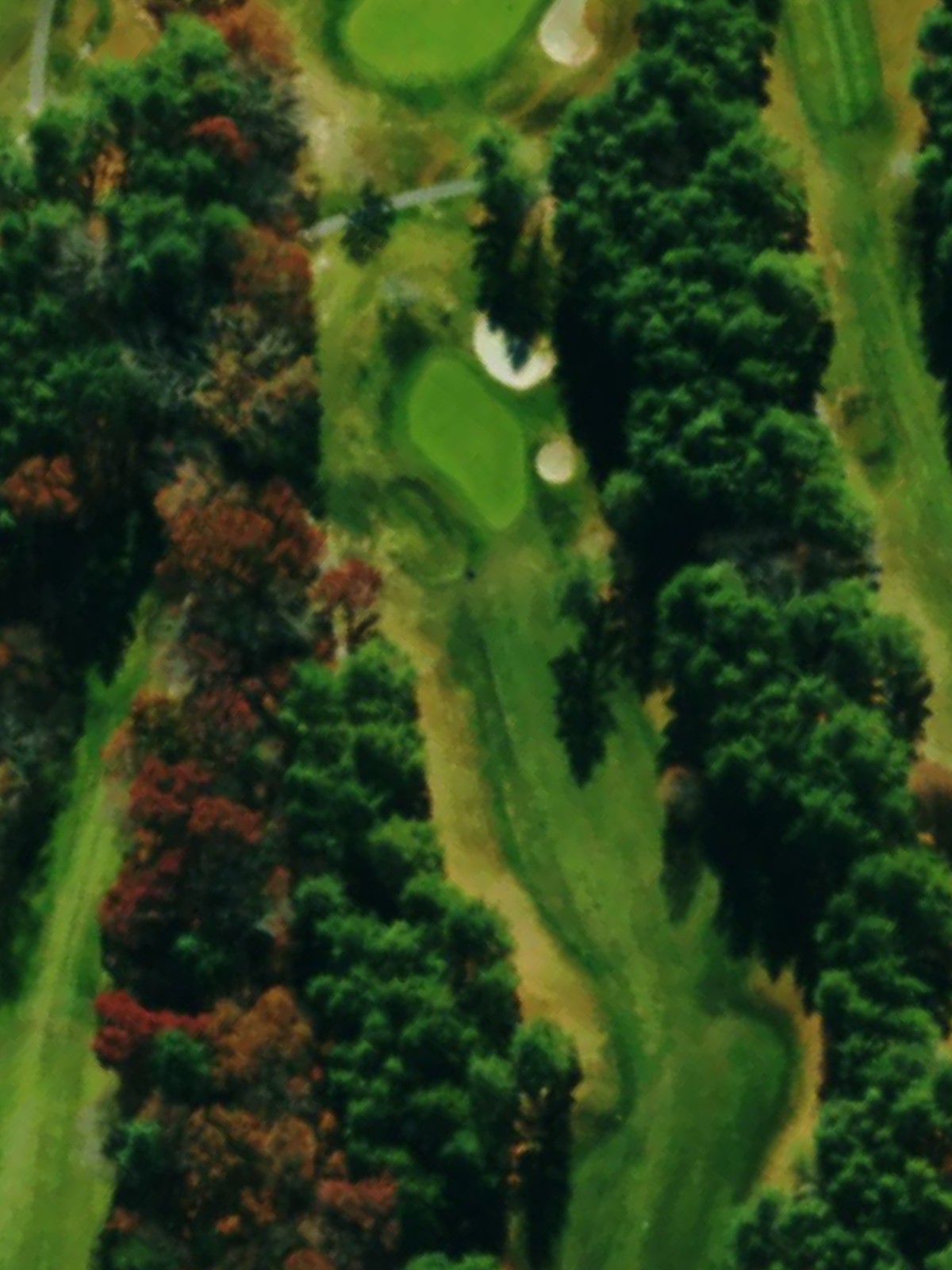 Hole 16 satellite