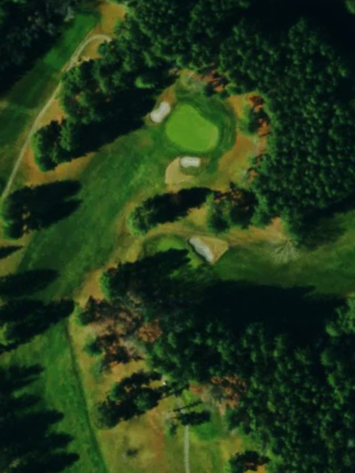 Hole 4 satellite
