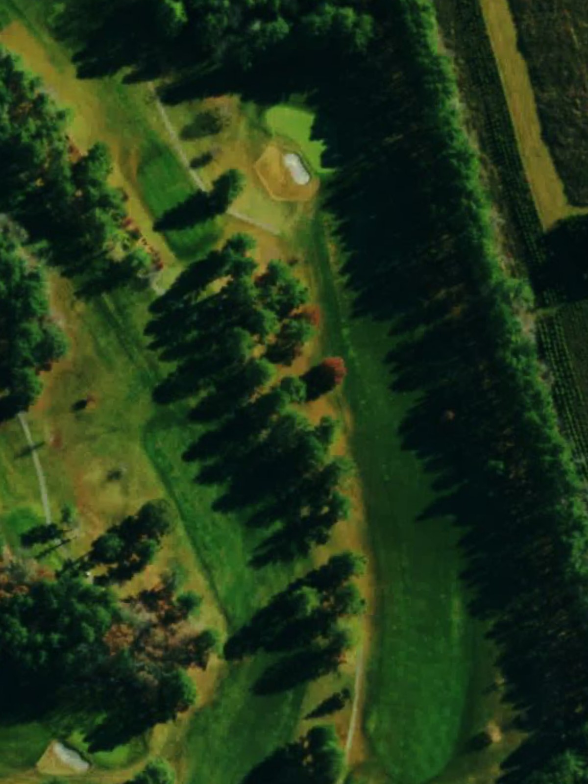 Hole 5 satellite