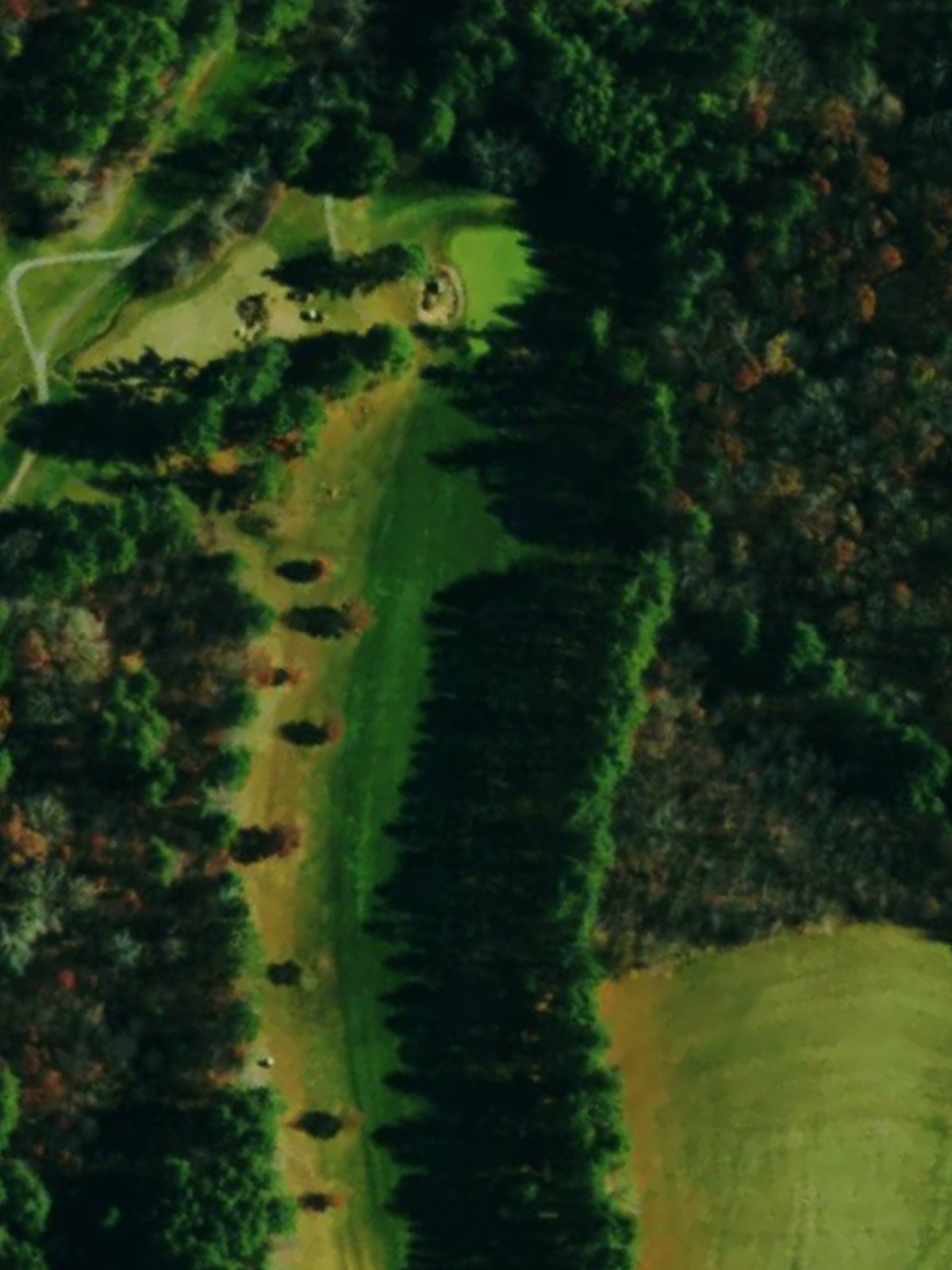 Hole 6 satellite