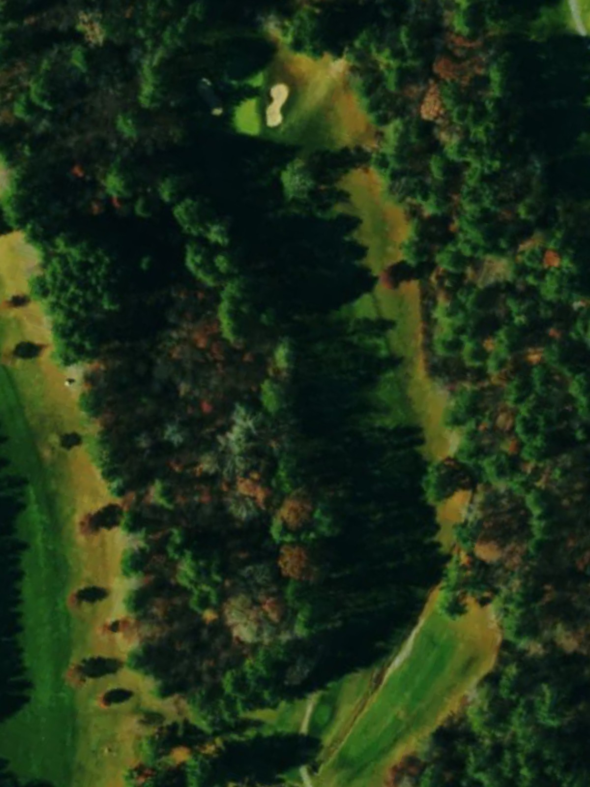 Hole 7 satellite