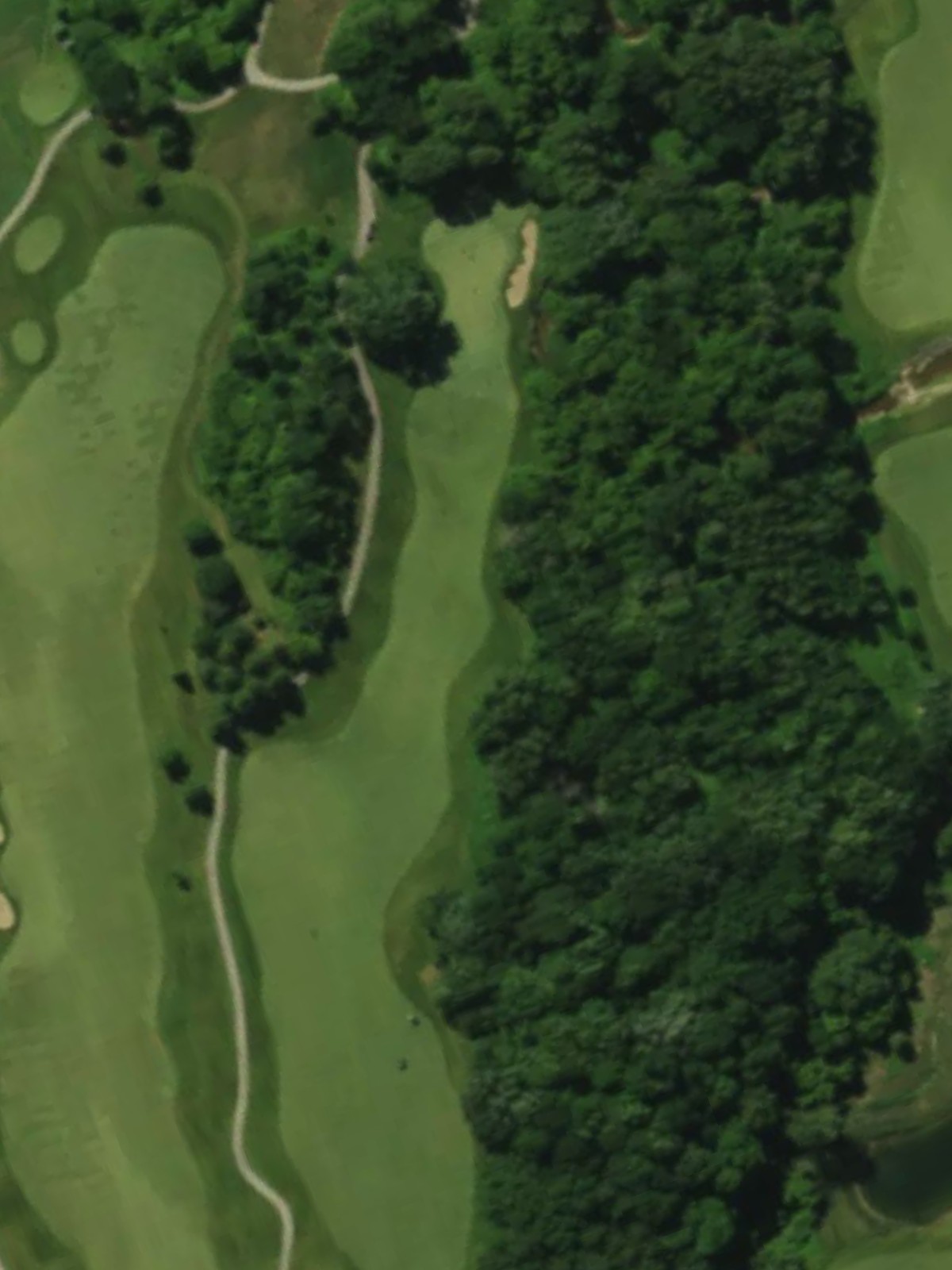 Hole 7 satellite
