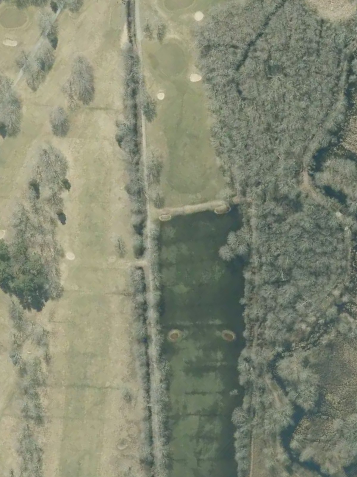 Hole 12 satellite