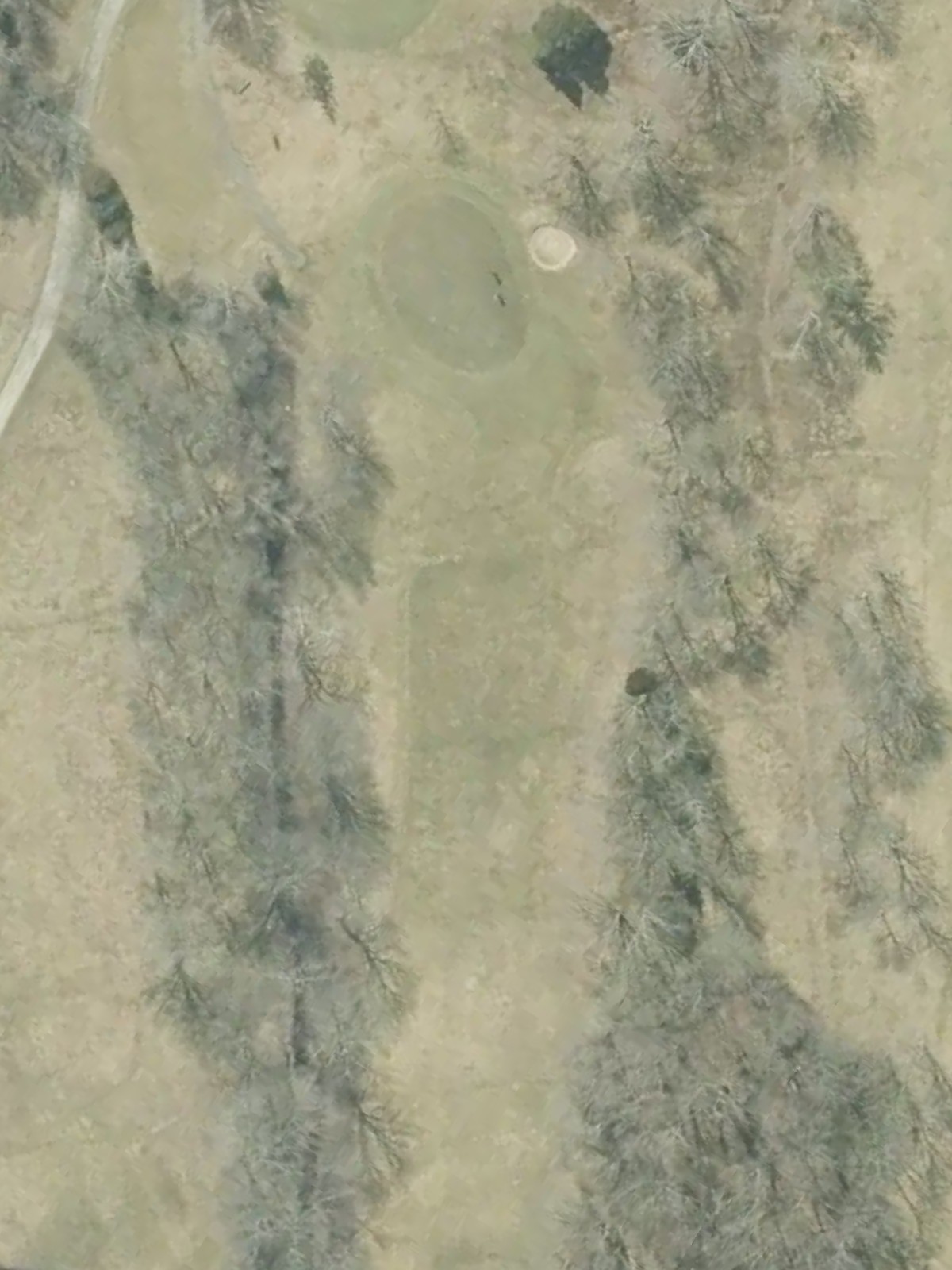 Hole 15 satellite