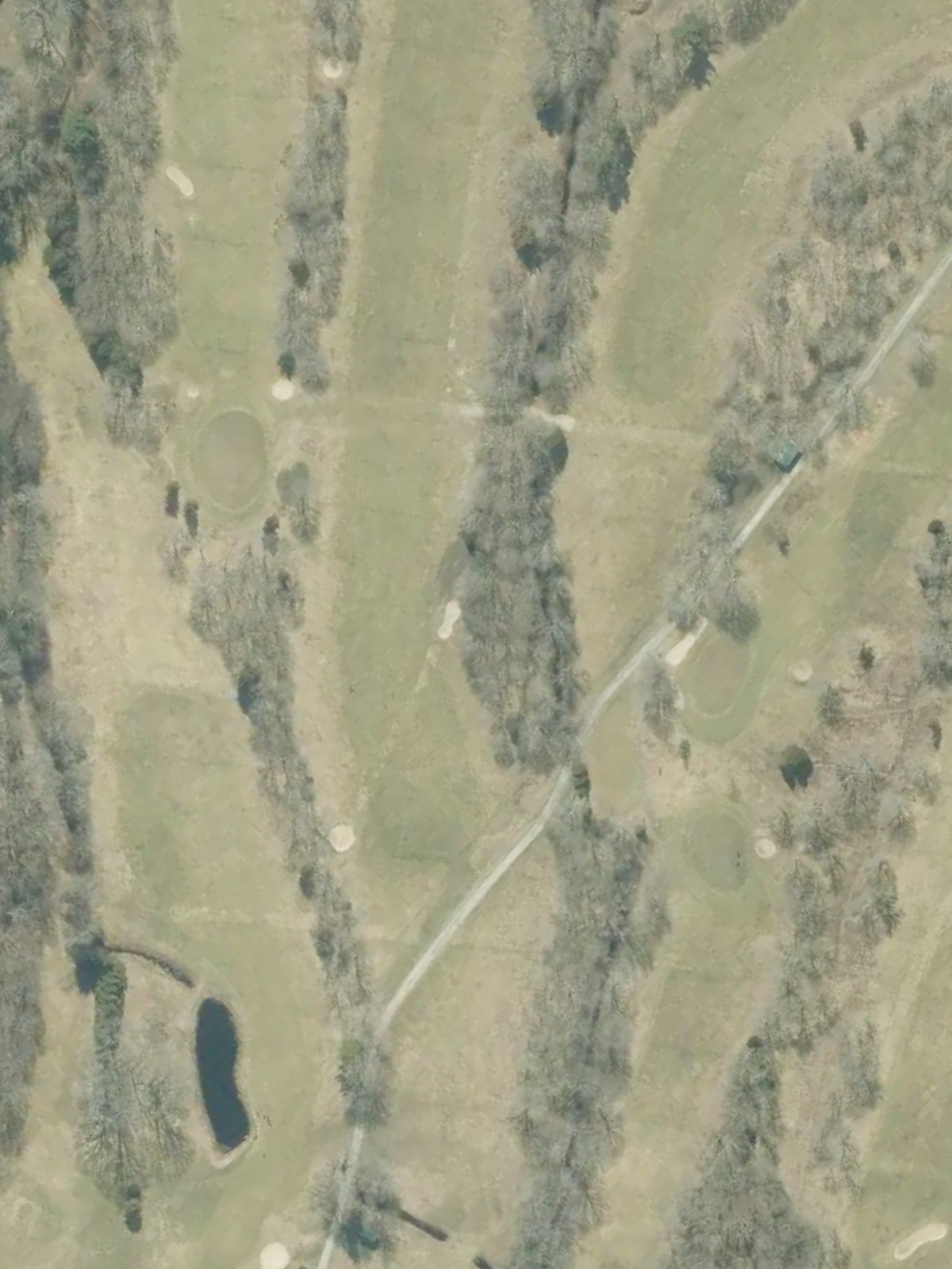 Hole 7 satellite