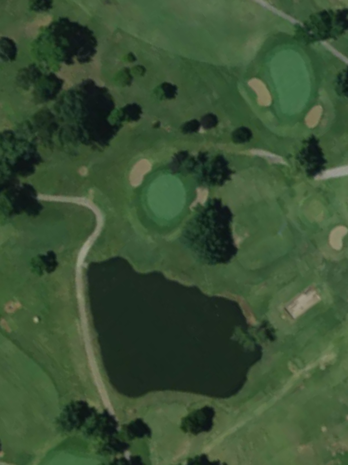 Hole 7 satellite
