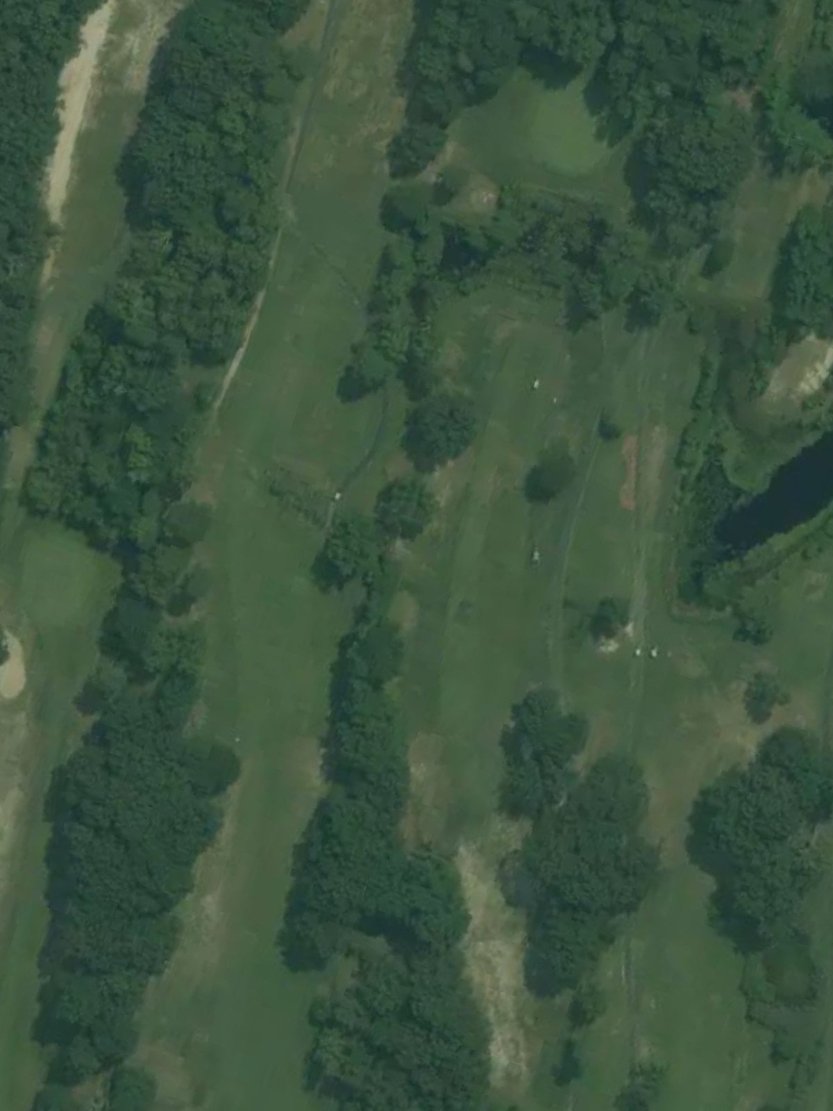 Hole 8 satellite