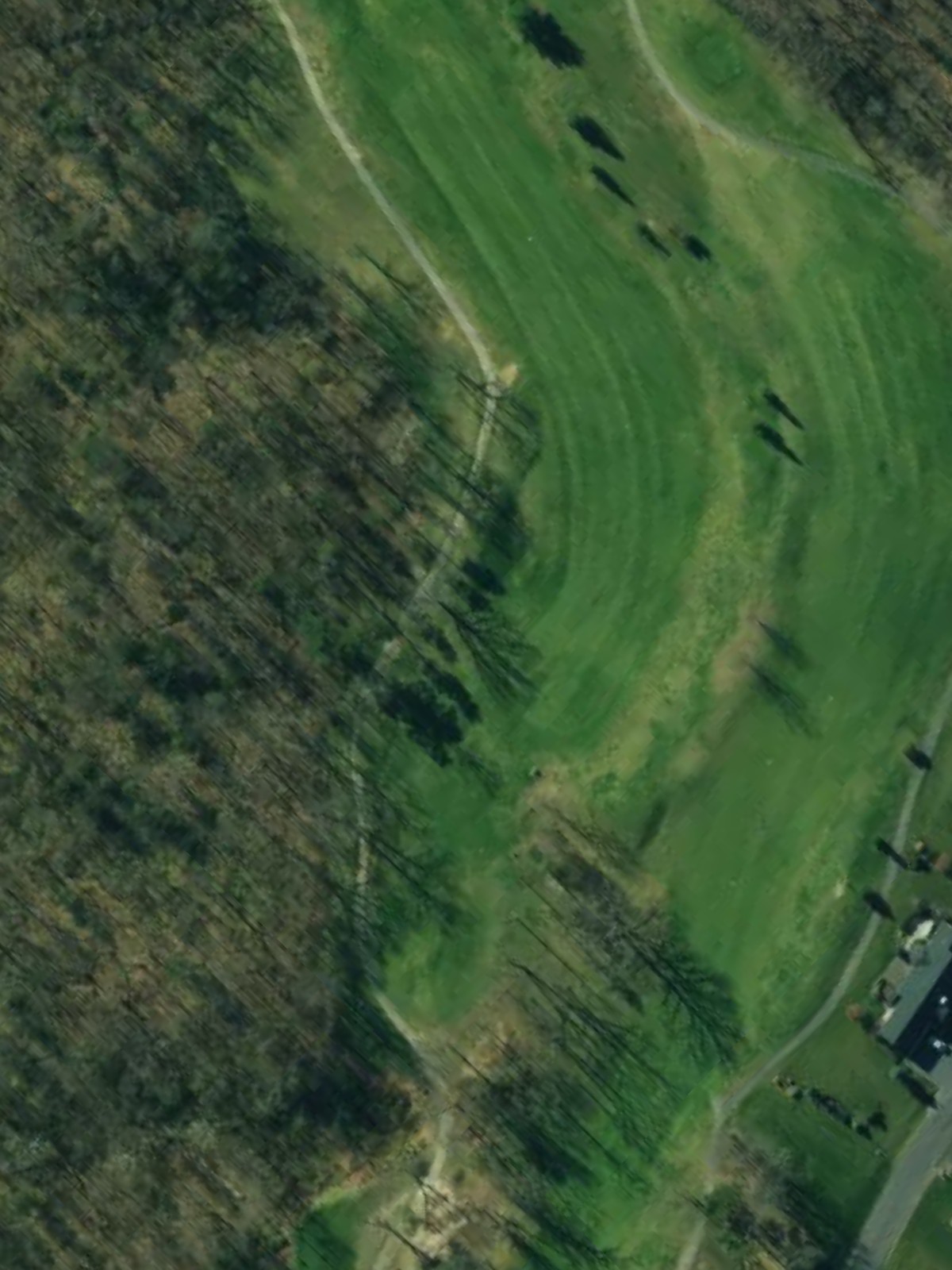 Hole 7 satellite