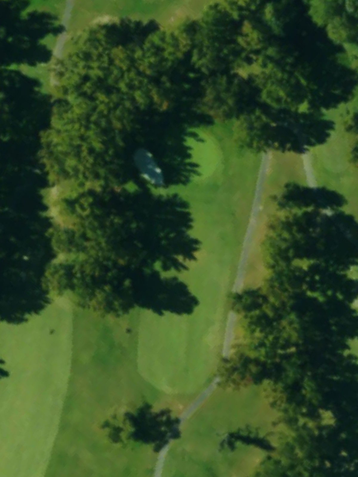 Hole 3 satellite