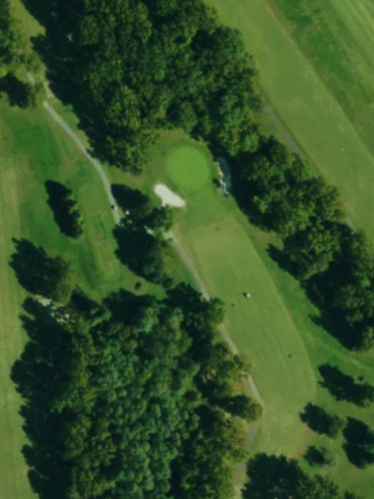 Hole 4 satellite