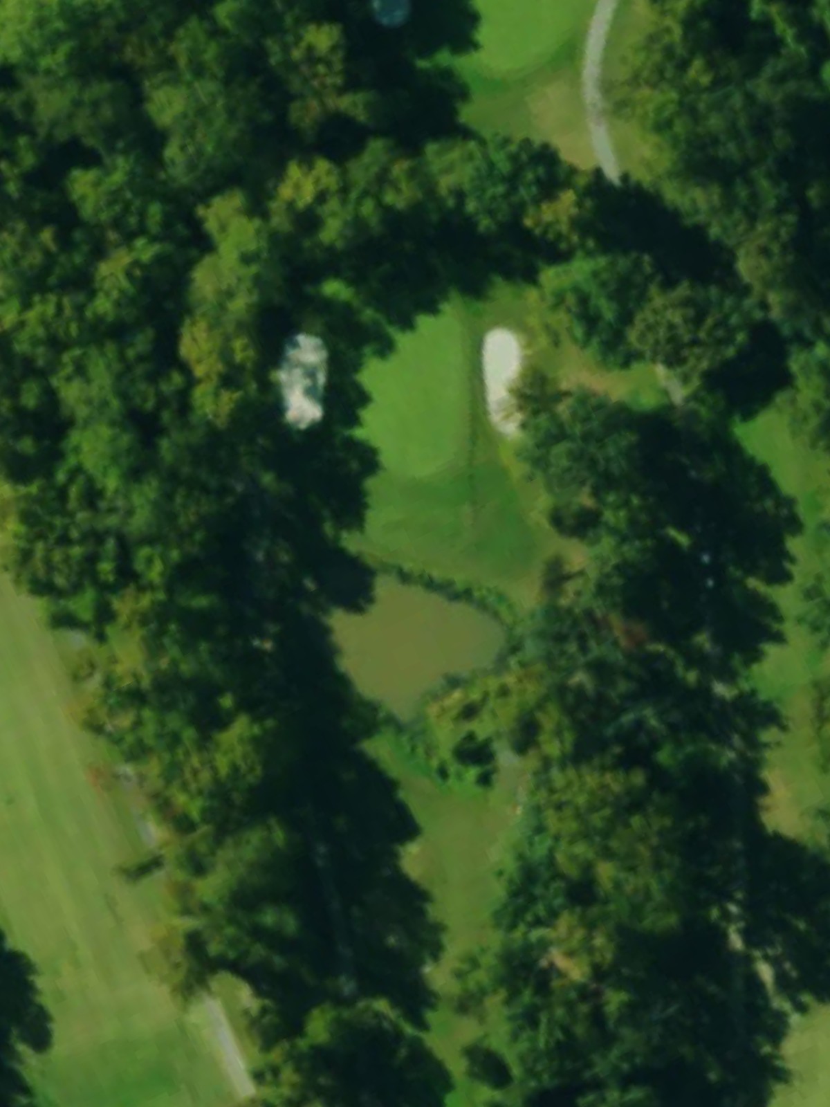 Hole 6 satellite