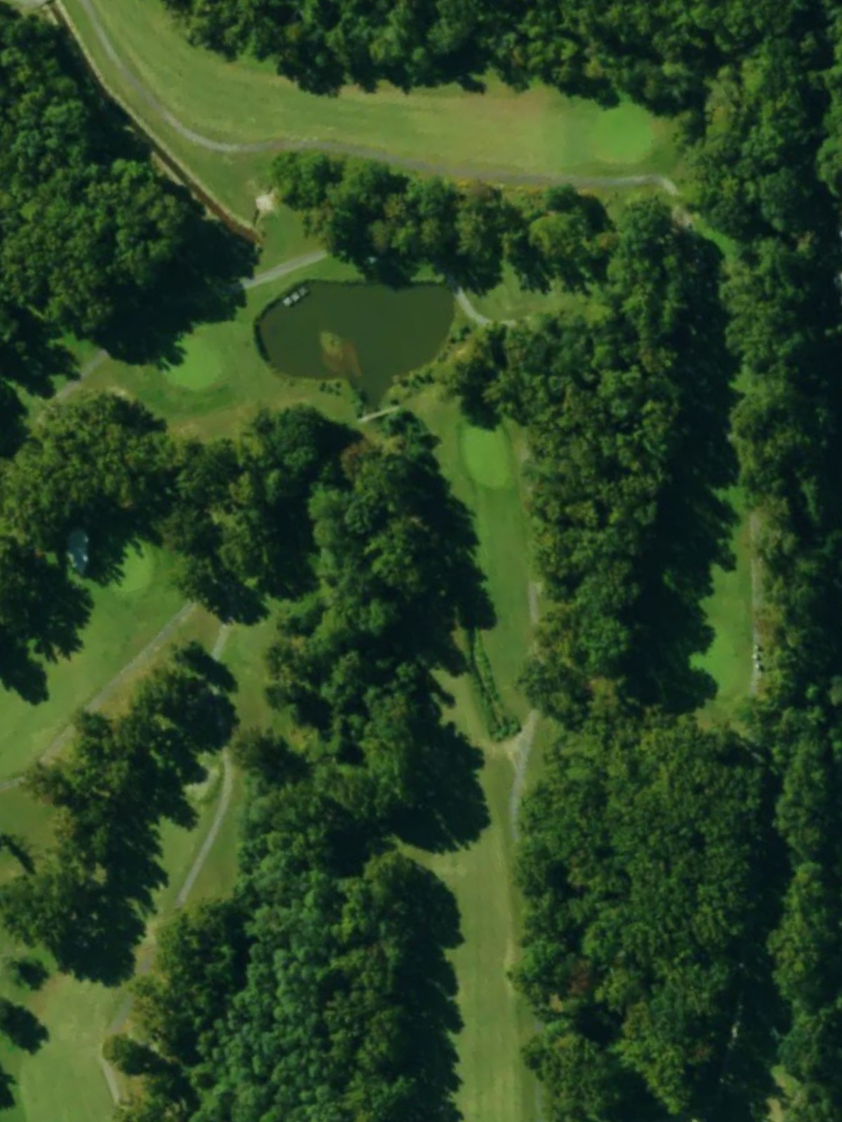 Hole 7 satellite