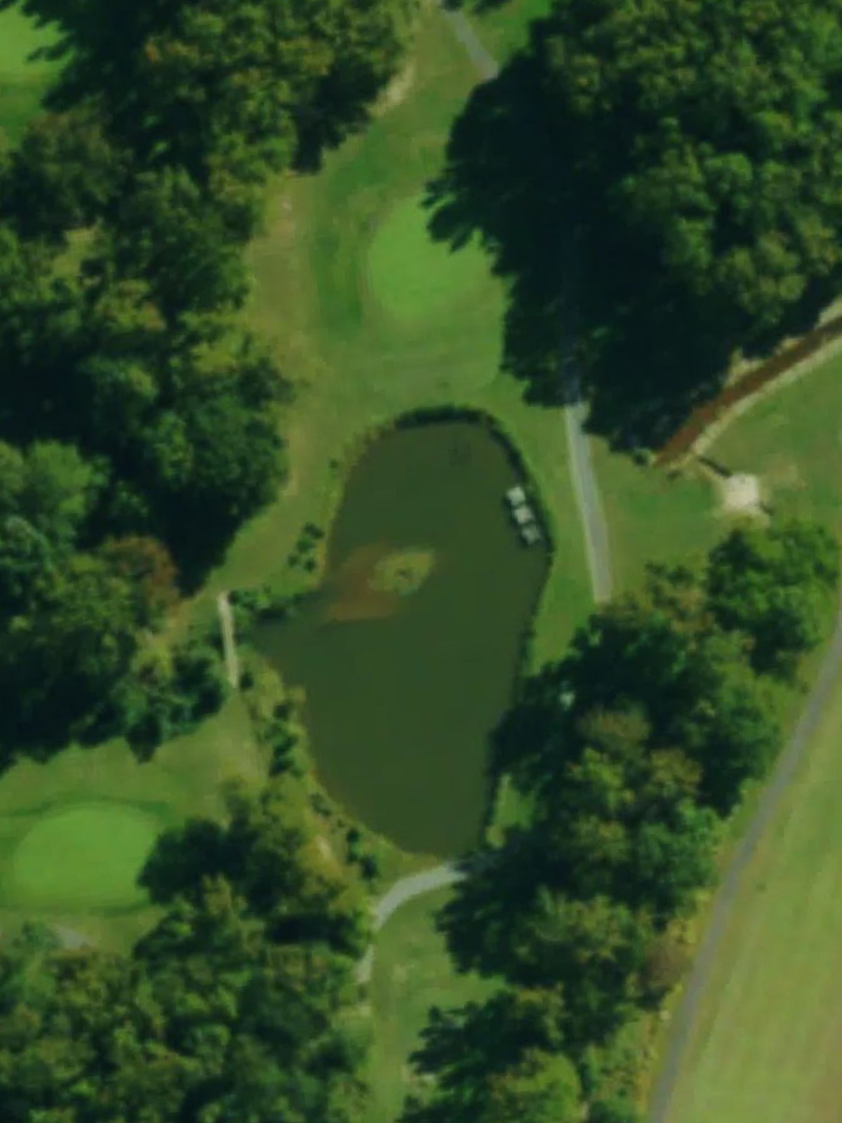 Hole 8 satellite
