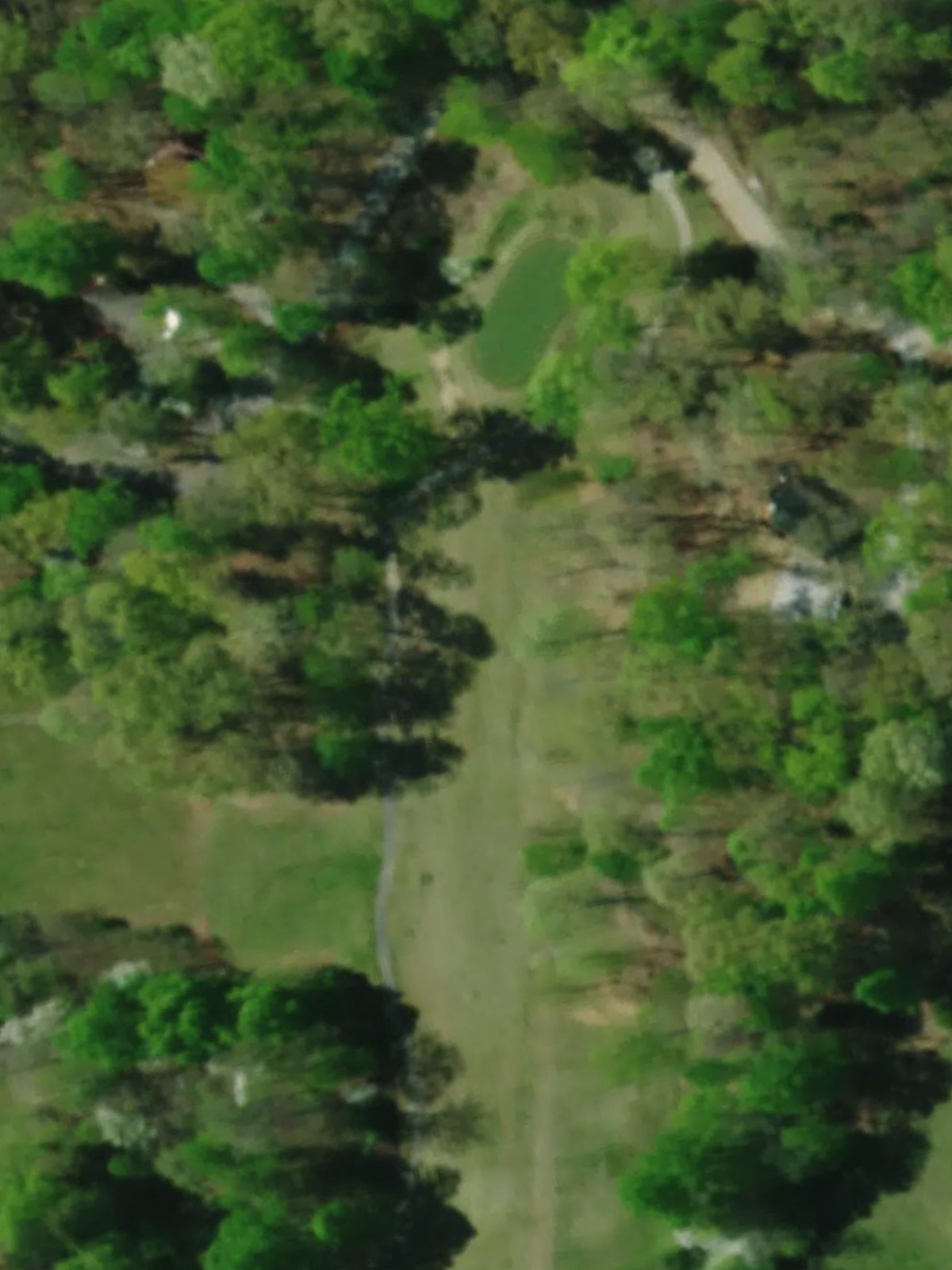 Hole 10 satellite