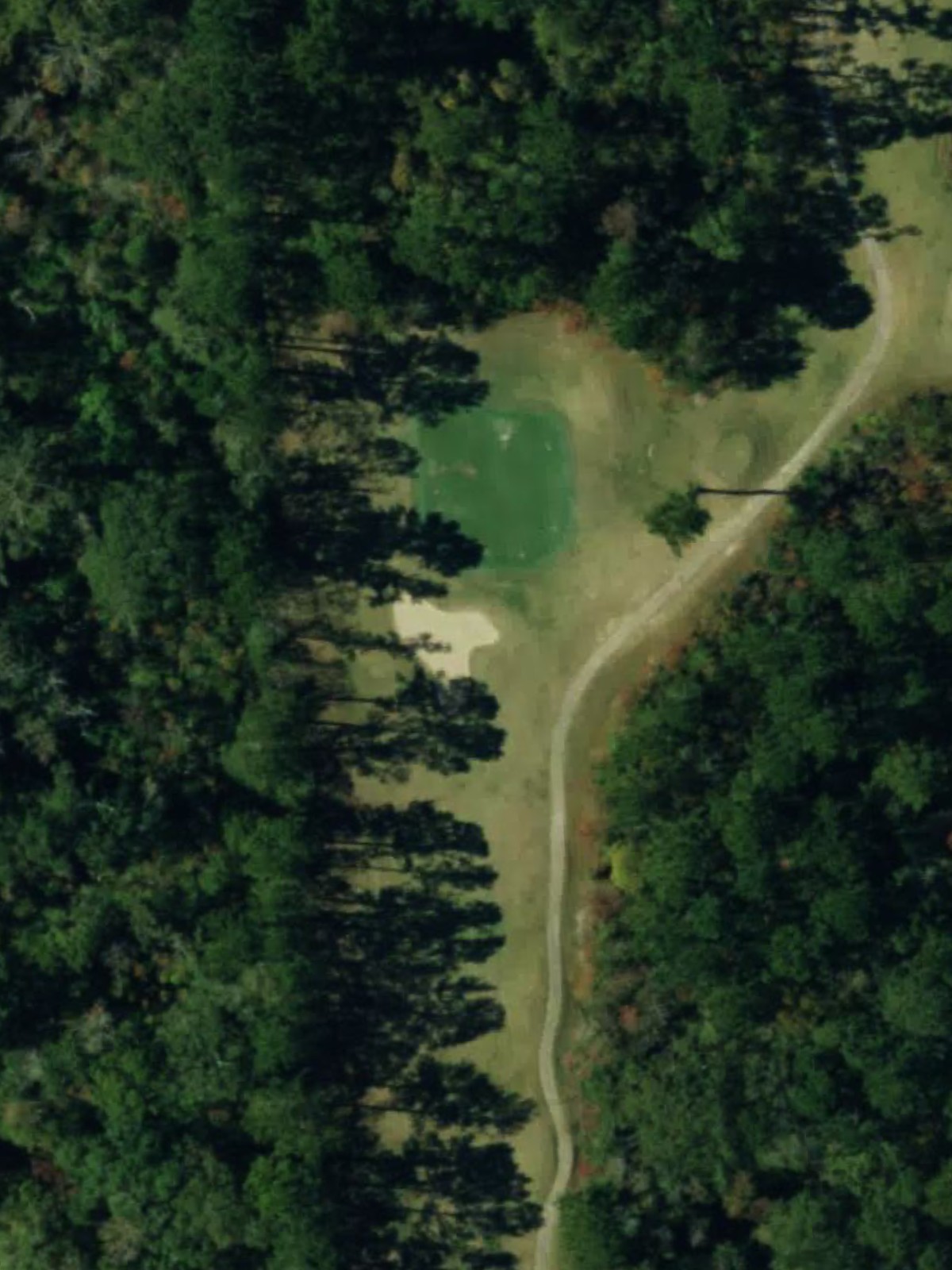 Hole 13 satellite
