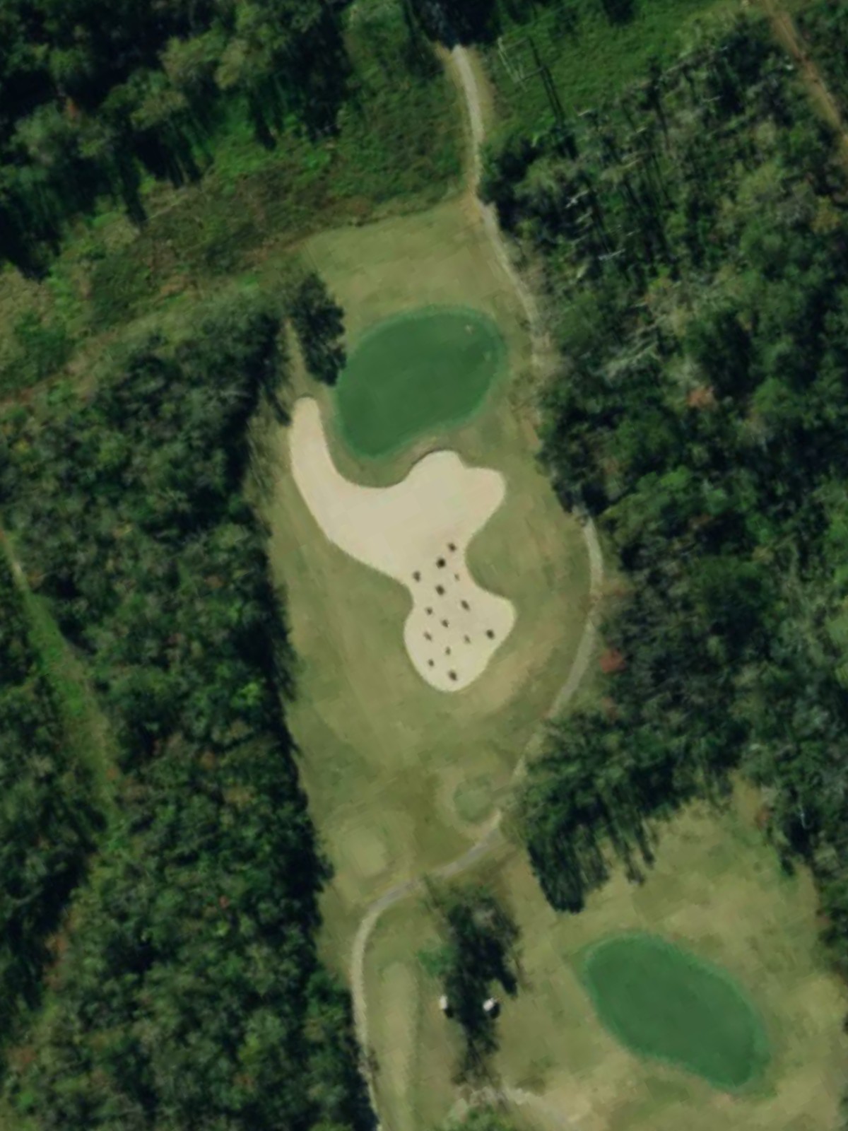 Hole 7 satellite
