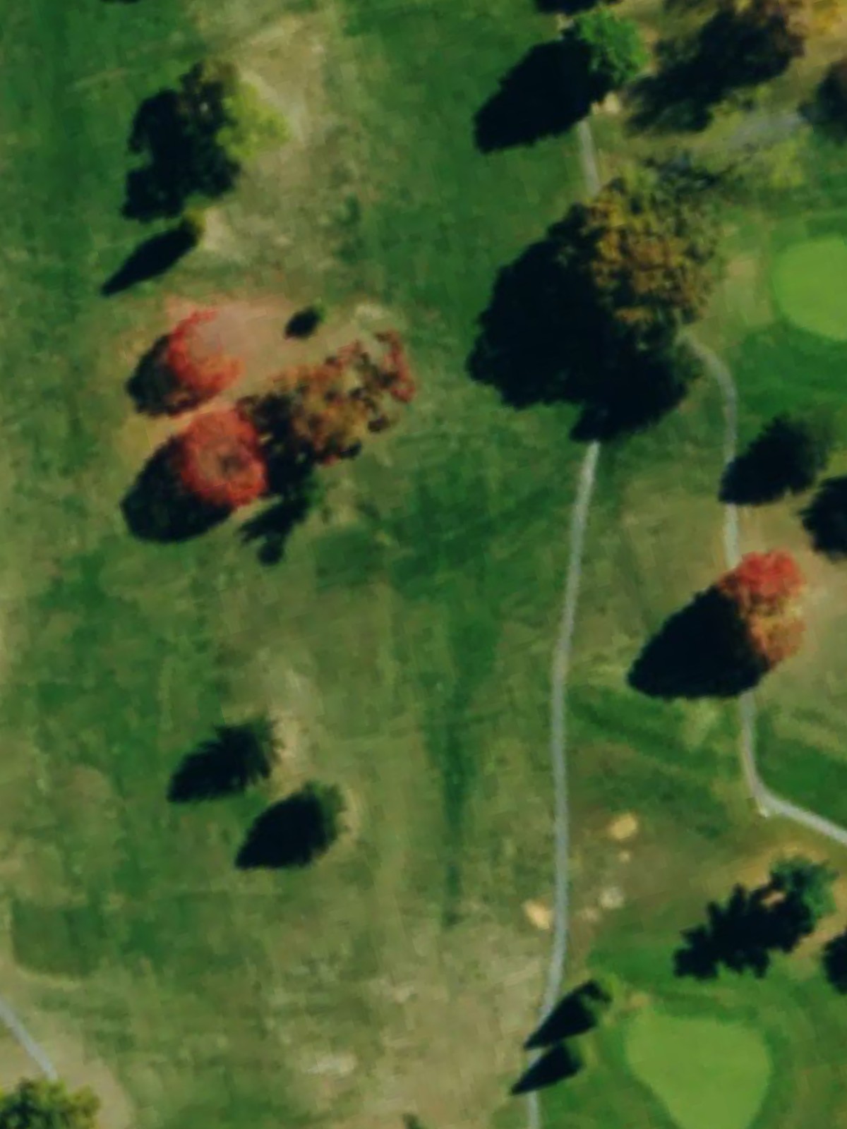 Hole 13 satellite
