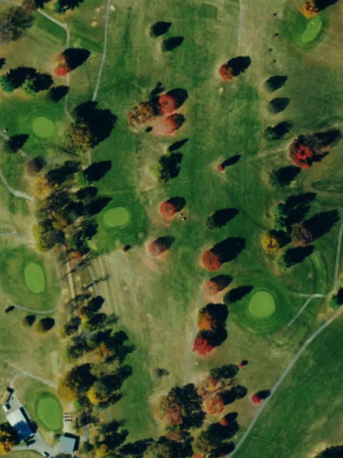 Hole 15 satellite