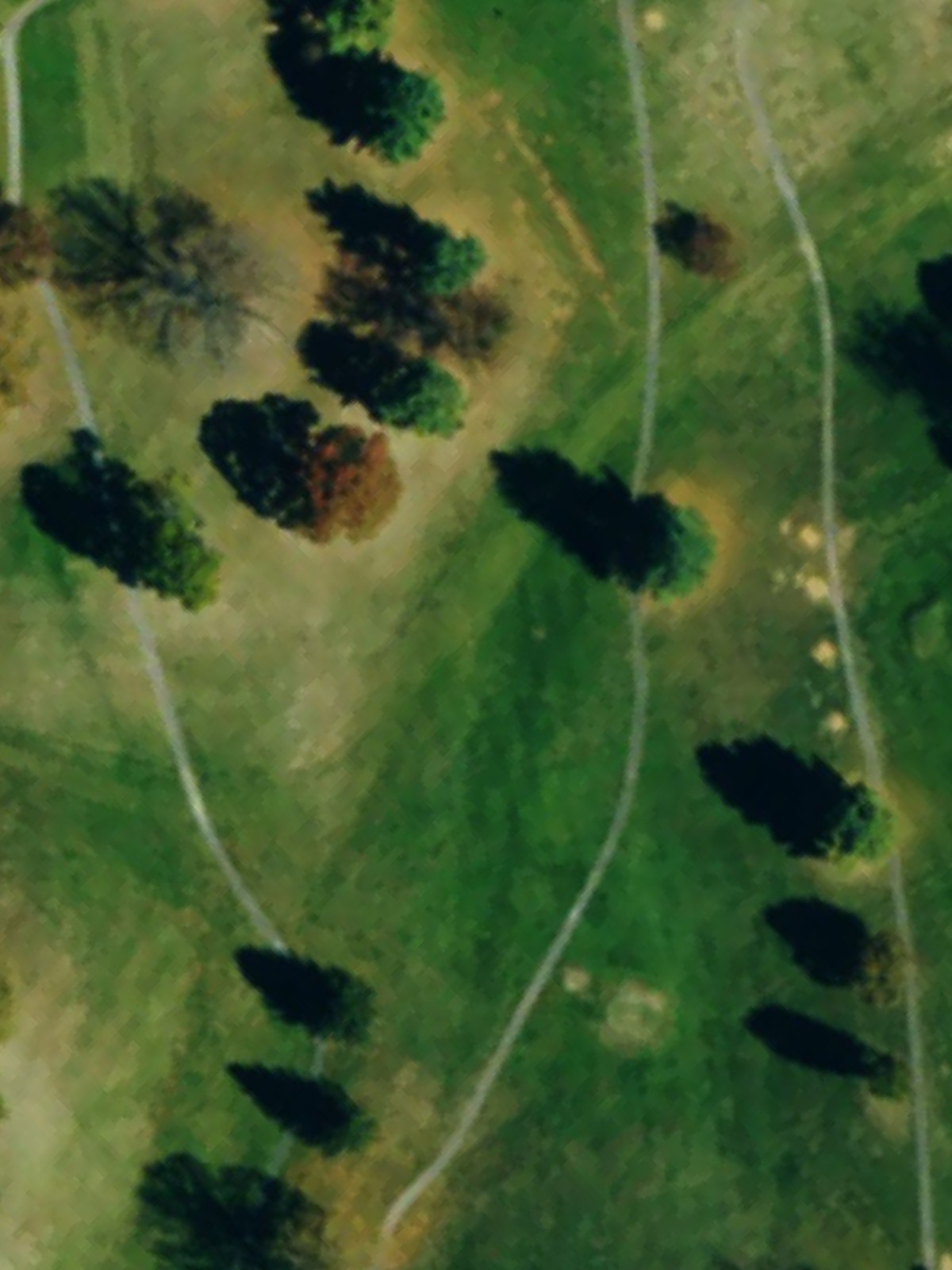 Hole 6 satellite