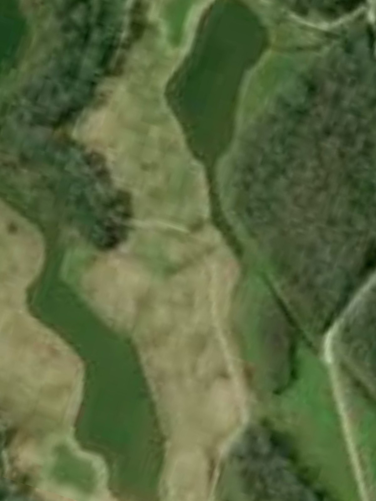 Hole 11 satellite