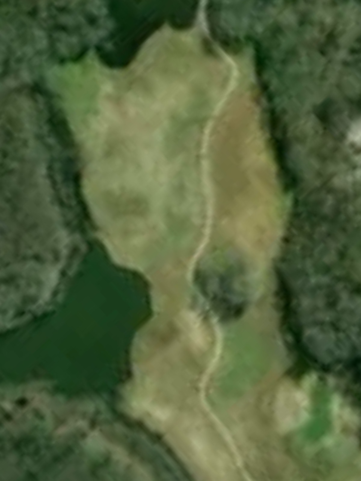 Hole 7 satellite