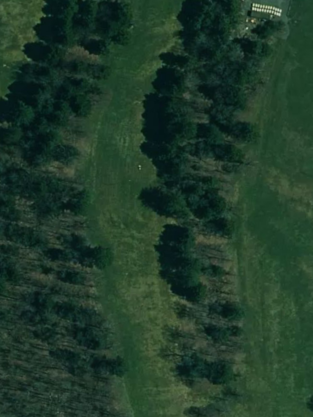 Hole 4 satellite