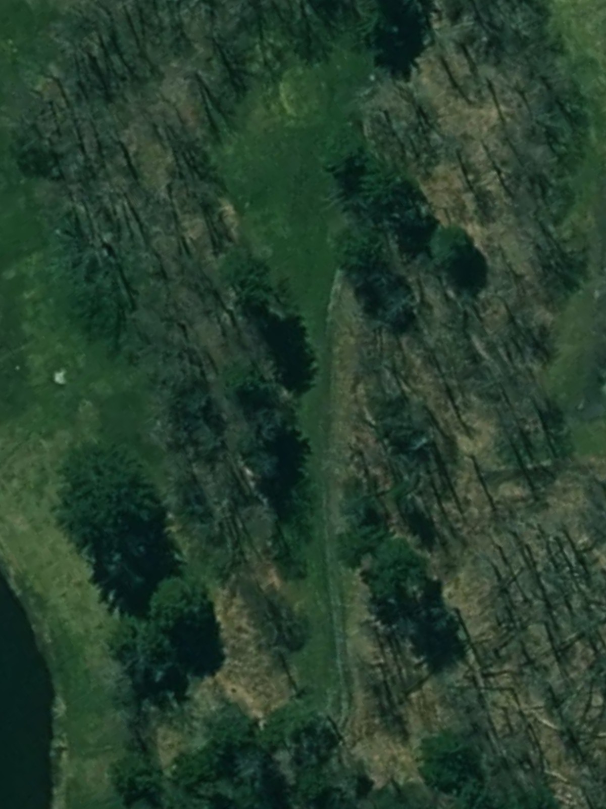 Hole 6 satellite
