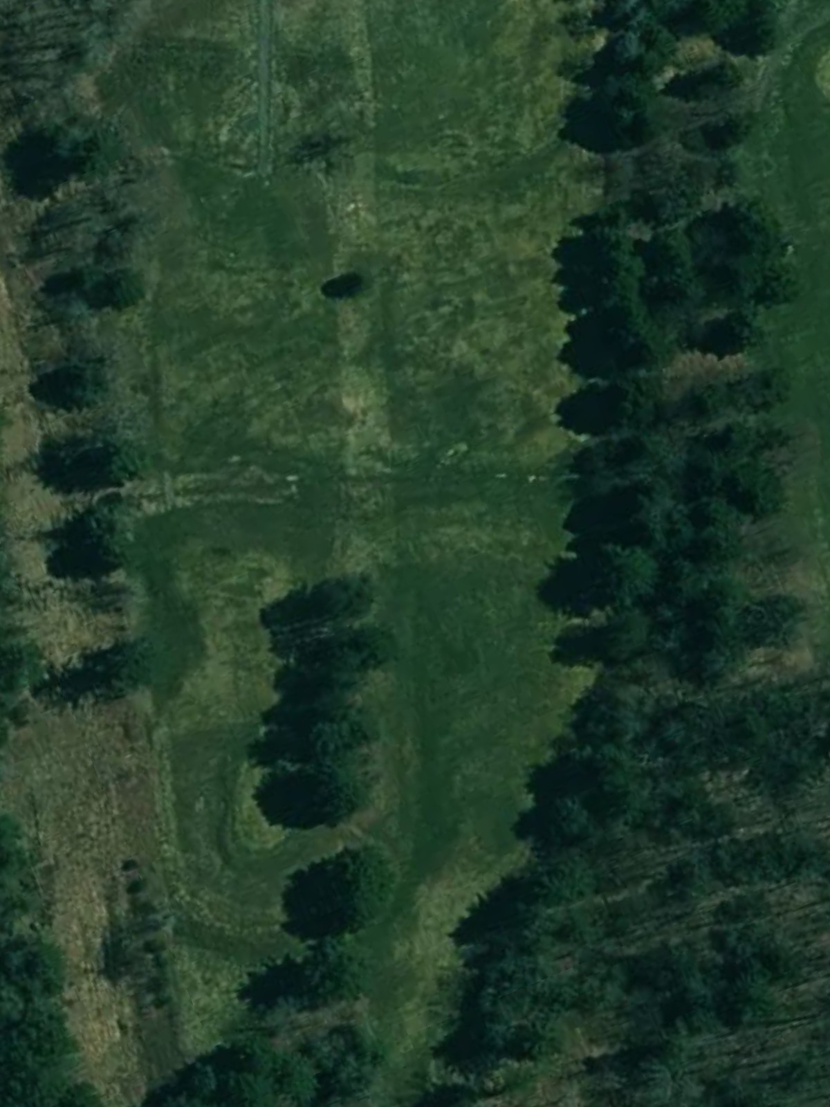 Hole 8 satellite