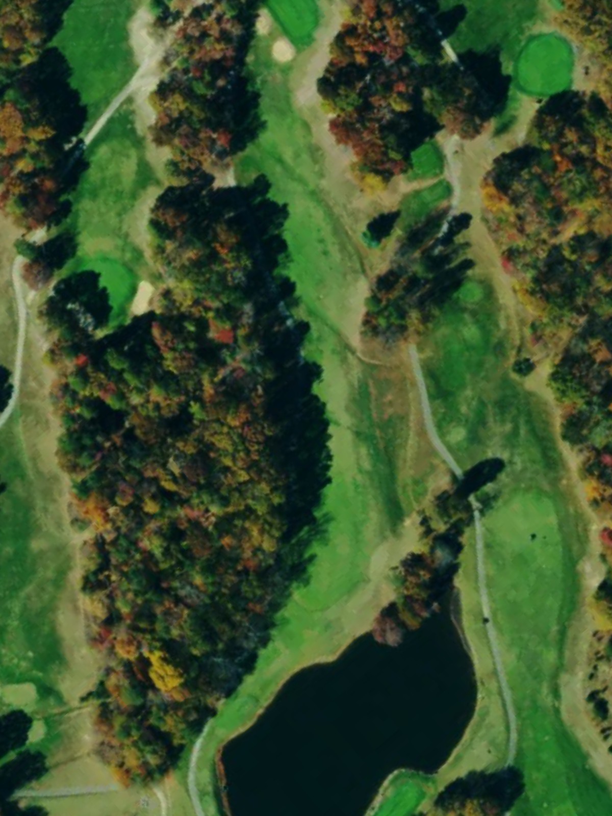 Hole 10 satellite