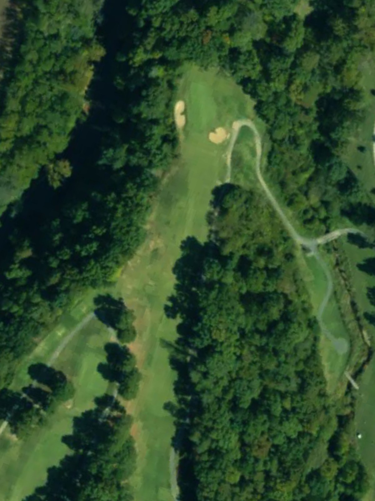 Hole 4 satellite