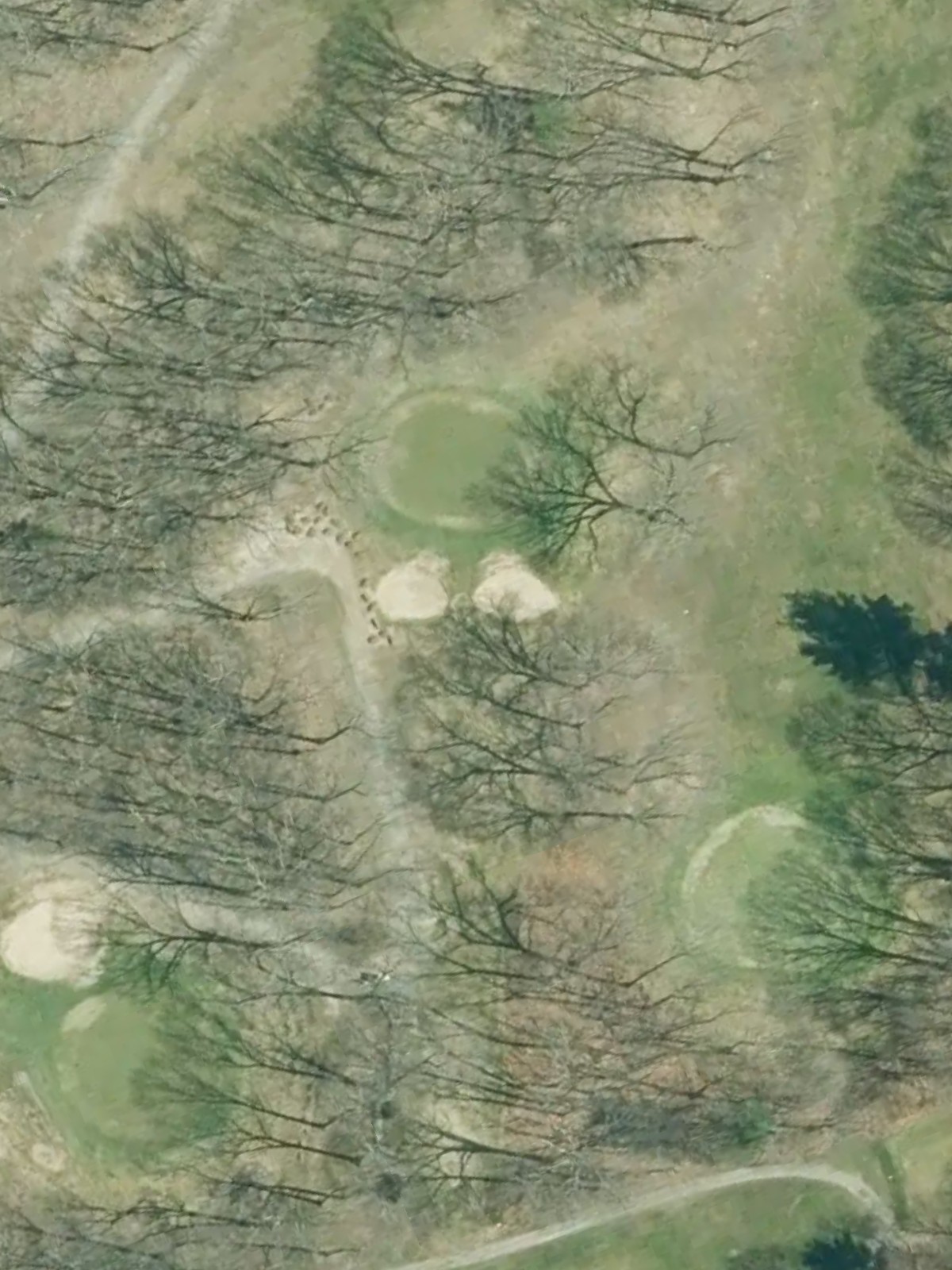 Hole 8 satellite