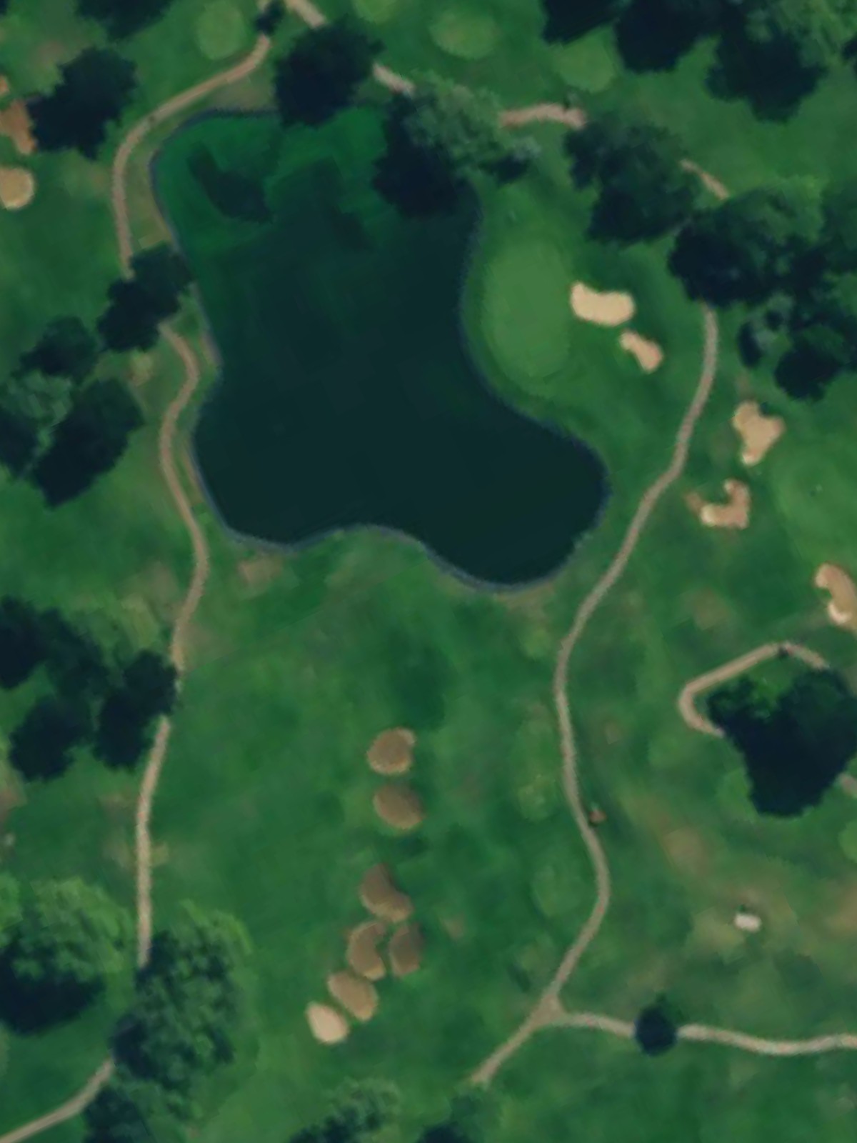 Hole 8 satellite