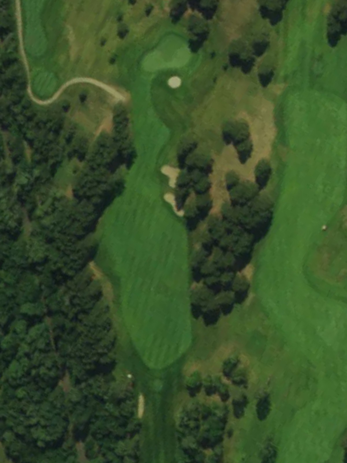 Hole 7 satellite