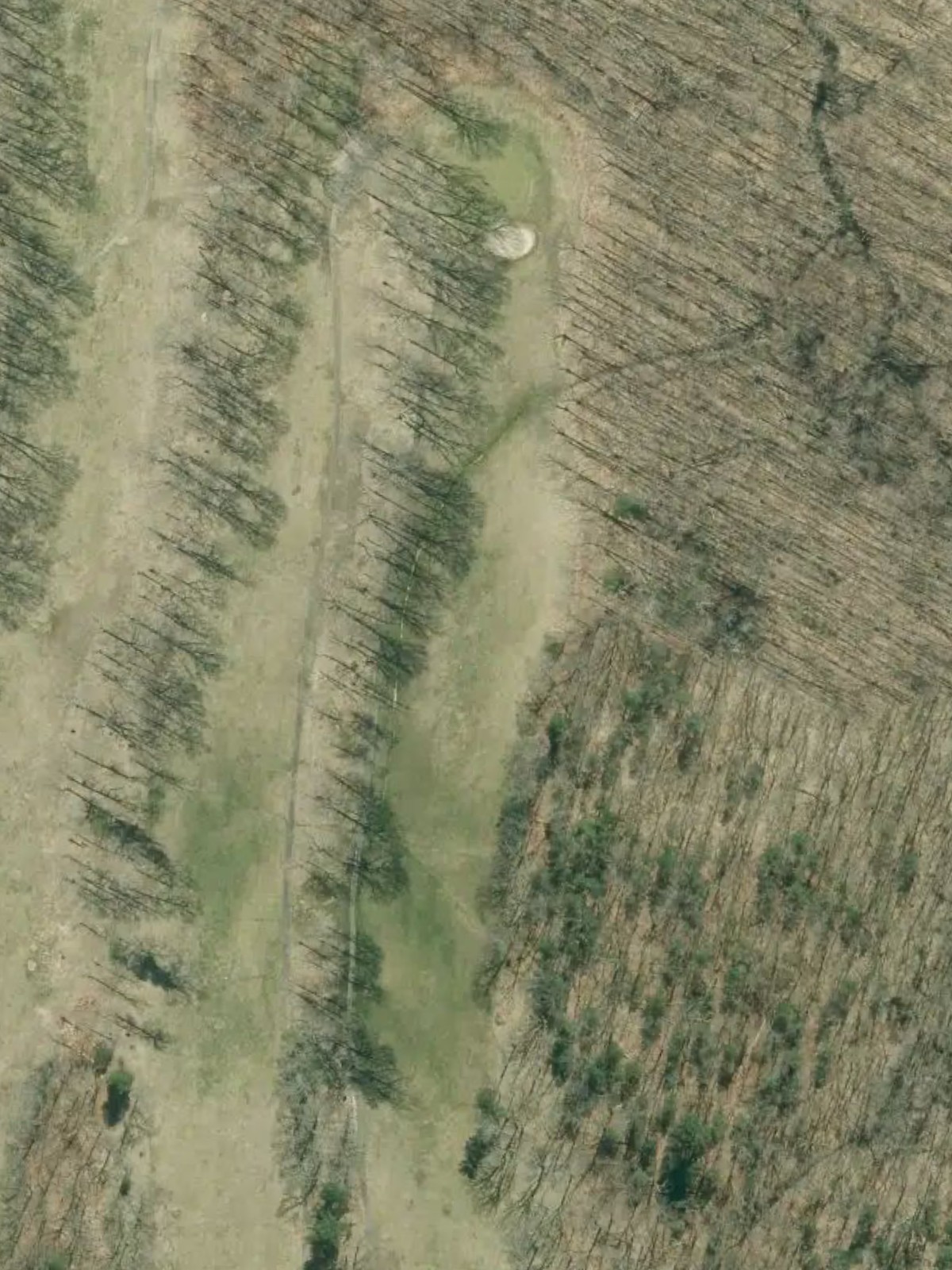 Hole 4 satellite