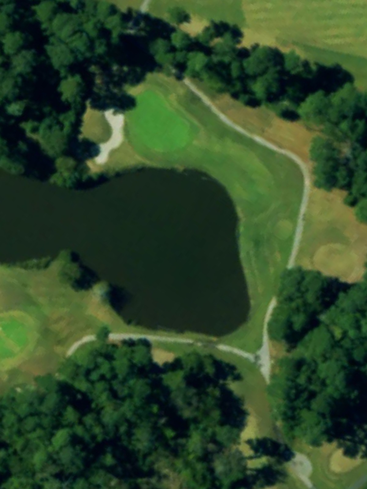Hole 15 satellite